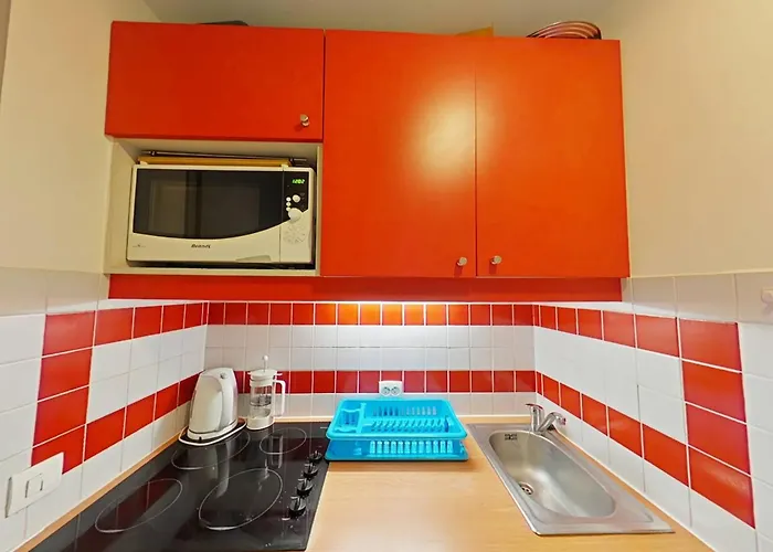 公寓 23m² Lumineux A Avec Wifi Et Parking - Fr-1-351-250